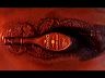 jay_martell_future